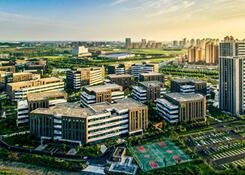 行业动态
